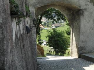 DSC04171 (2).JPG