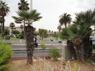 DSC04523.JPG