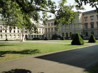 DSC04233 (2).JPG