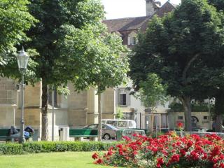 DSC04091 (2).JPG
