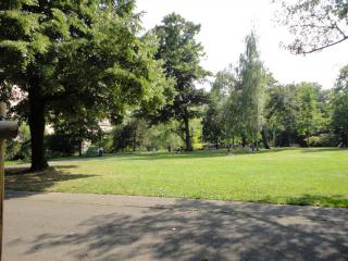 DSC04223 (2).JPG