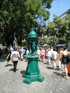 DSC03996.JPG