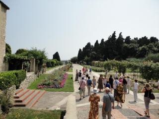 DSC04348.JPG
