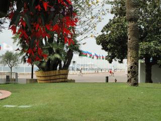 DSC04554.JPG