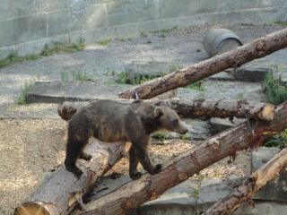 DSC04034 (2).JPG