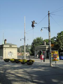 DSC04024 (2).JPG