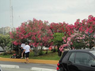 DSC04471.JPG