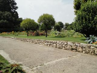 DSC04361.JPG