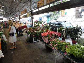 DSC04511.JPG