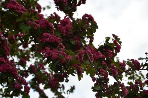 Тур 1RD ч.3 1657.JPG