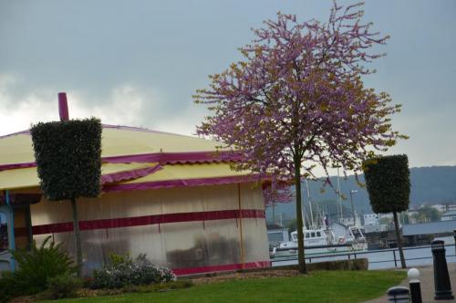 Тур 1RD ч.3 1659.JPG