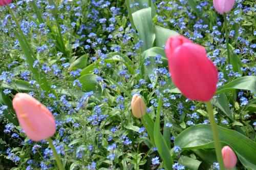 Тур 1RD ч.3 1178.JPG