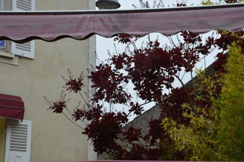 Тур 1RD ч.3 1045.JPG