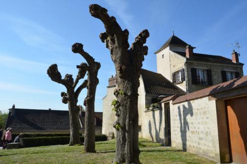 Тур 1RD ч.3 450.JPG