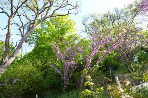 Тур 1RD ч.3 475.JPG