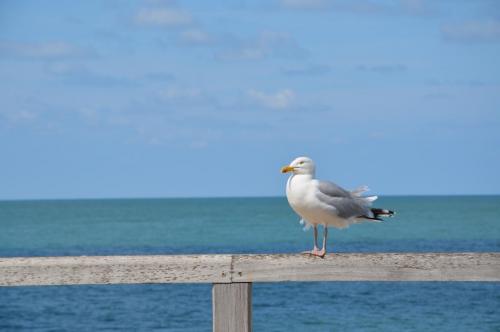 Тур 1RD ч.3 1398.JPG