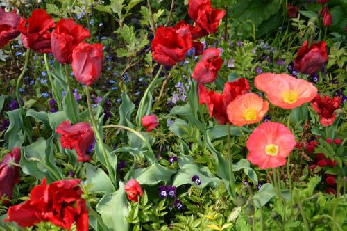 Тур 1RD ч.3 1137.JPG