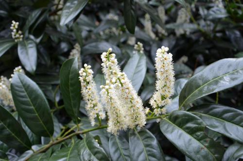 Тур 1RD ч.2 314.JPG