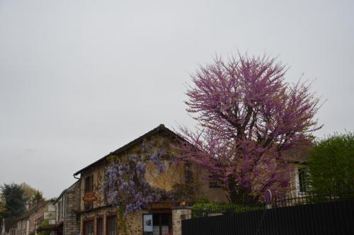 Тур 1RD ч.3 781.JPG