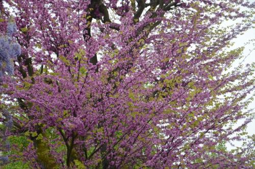 Тур 1RD ч.3 868.JPG