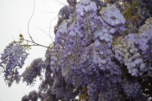 Тур 1RD ч.3 863.JPG