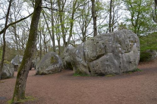 Тур 1RD ч.3 1078.JPG