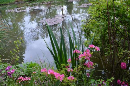 Тур 1RD ч.3 1117.JPG