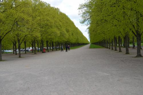 Тур 1RD ч.2 489.JPG