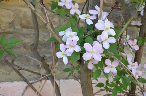 Тур 1RD ч.3 406.JPG