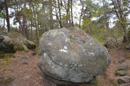 Тур 1RD ч.3 845.JPG