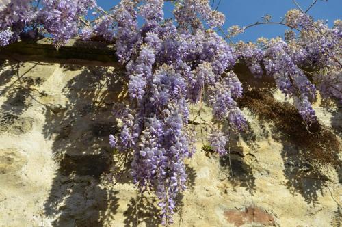 Тур 1RD ч.3 381.JPG