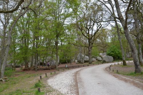 Тур 1RD ч.3 1080.JPG