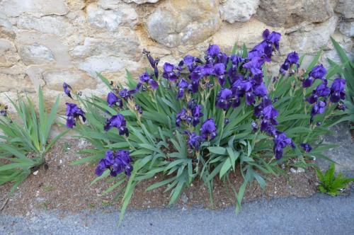 Тур 1RD ч.3 376.JPG