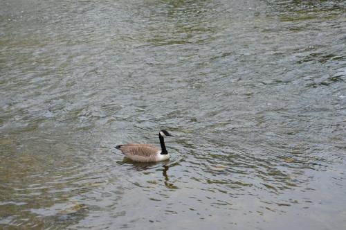 Тур 1RD ч.3 1059.JPG