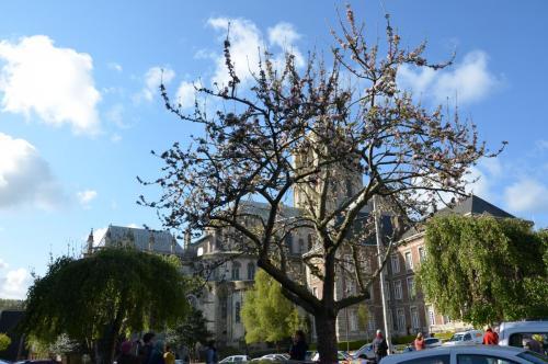 Тур 1RD ч.3 1244.JPG