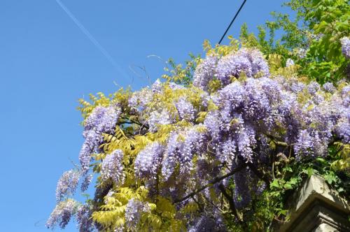 Тур 1RD ч.3 453.JPG