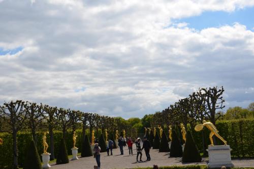 Тур 1RD ч.2 393.JPG