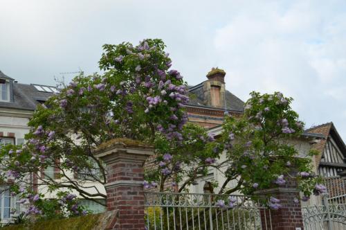 Тур 1RD ч.3 1650.JPG