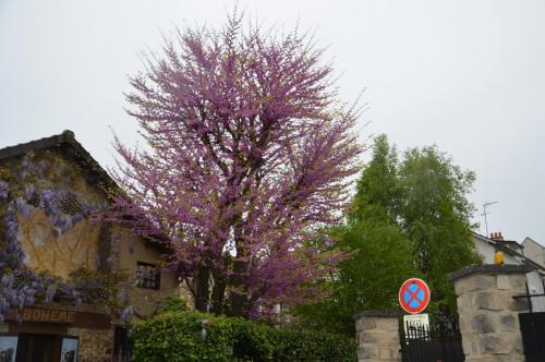 Тур 1RD ч.3 783.JPG