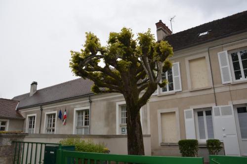 Тур 1RD ч.3 985.JPG