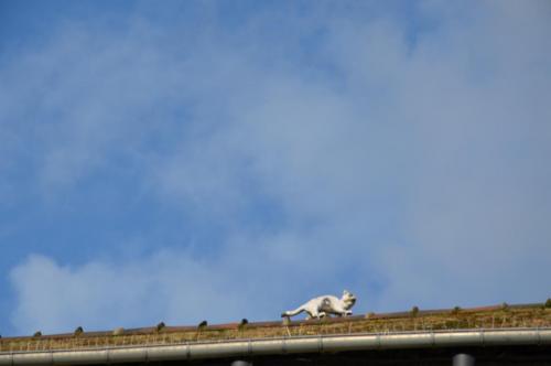 Тур 1RD ч.3 1603.JPG