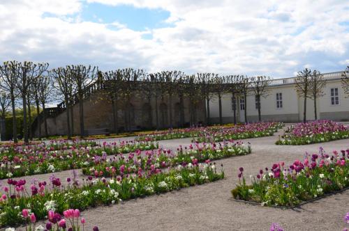 Тур 1RD ч.2 372.JPG