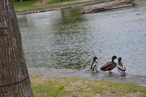 Тур 1RD ч.3 1022.JPG