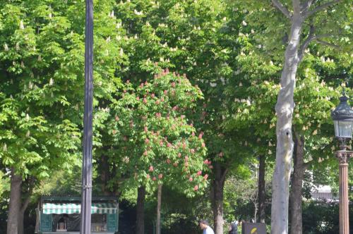 Тур 1RD ч.3 594.JPG