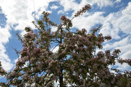 Тур 1RD ч.2 273.JPG