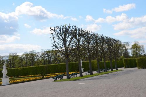 Тур 1RD ч.2 420.JPG