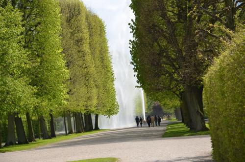 Тур 1RD ч.2 466.JPG