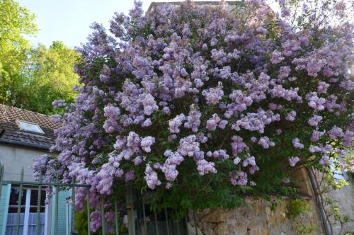 Тур 1RD ч.3 388.JPG