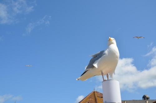 Тур 1RD ч.3 1395.JPG