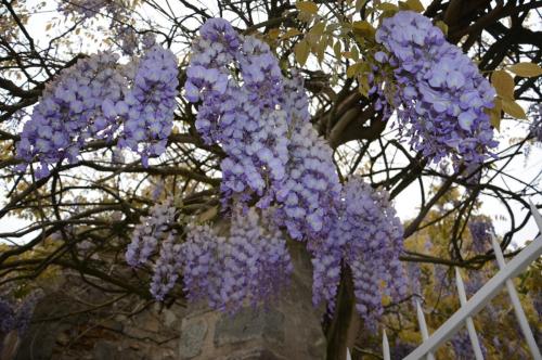 Тур 1RD ч.3 727.JPG